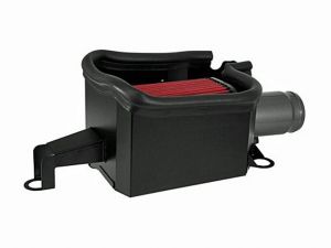 AEM Cold Air Intake