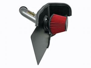 AEM Cold Air Intake
