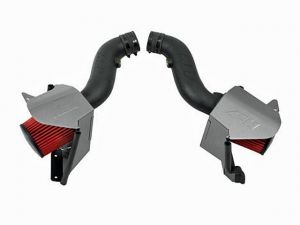 AEM Cold Air Intake