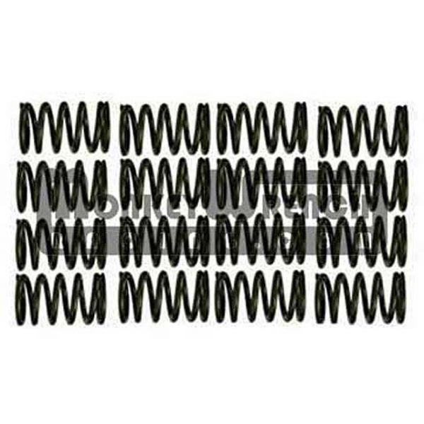 Valve Spring Set - 2ZR-FE Valve Spring Set - 2ZR-FE